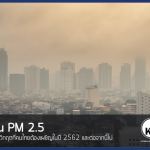 ฝุ่น PM 2.5 กับ วิกฤตที่คนไทยต้องเผชิญในปี 2562 และต่อจากนี้ไป